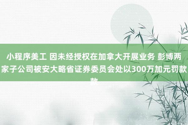 小程序美工 因未经授权在加拿大开展业务 彭博两家子公司被安大略省证券委员会处以300万加元罚款